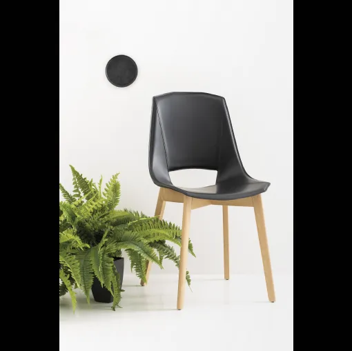 Sedia Eva 5 rivestita in cuoio con gambe in legno massello di Frassino di Pointhouse