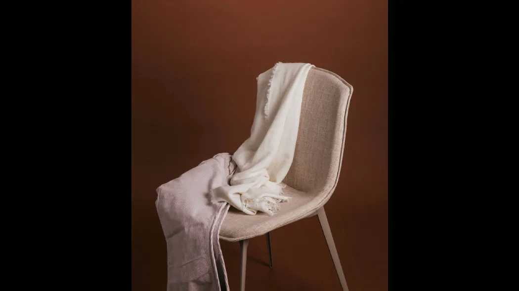 Sedia Eva 1 Soft di Pointhouse